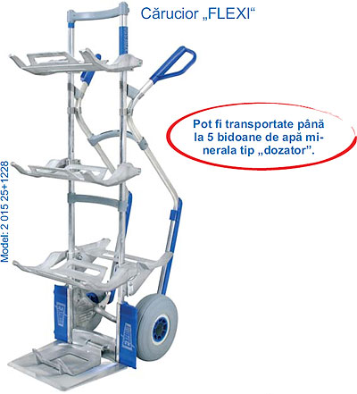 Carucior Flexi